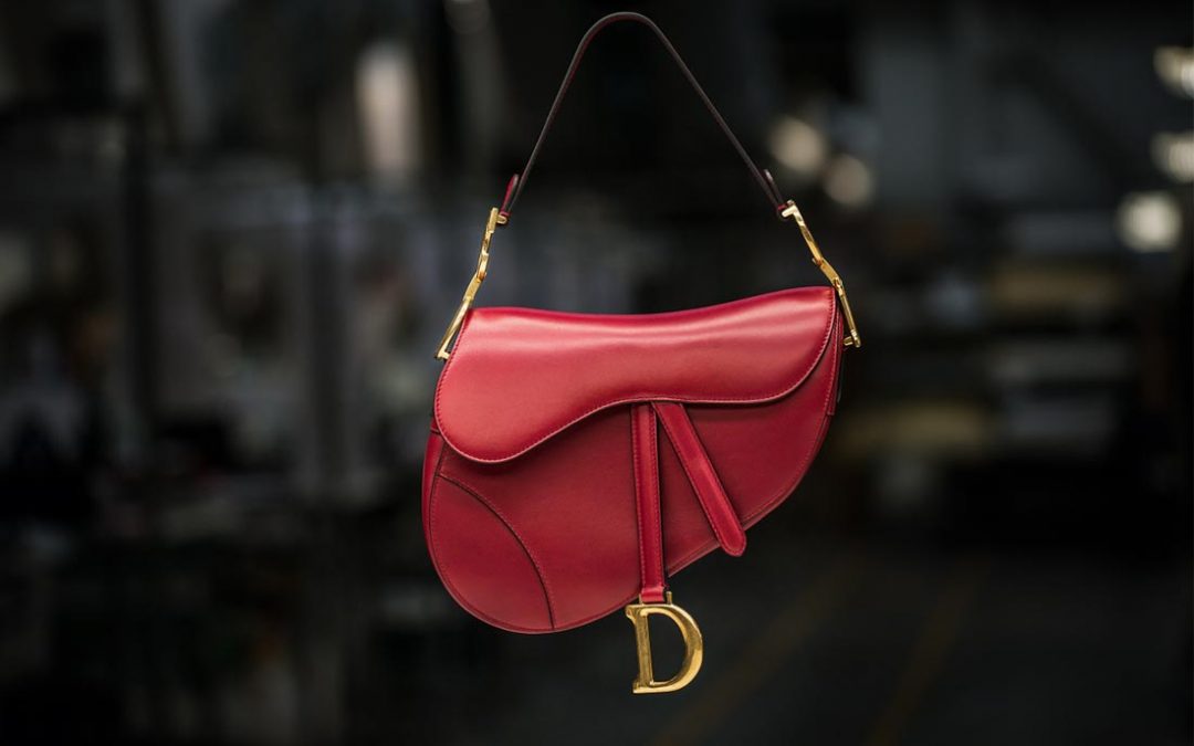 bag dior saddle