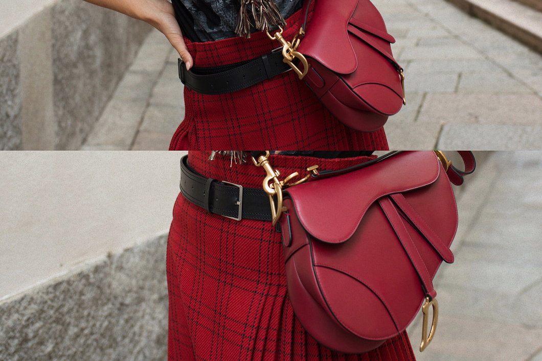 How to take care of Saddle bag by Dior? Tarrago