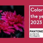 Pantone Color del año 2023: Viva Magenta