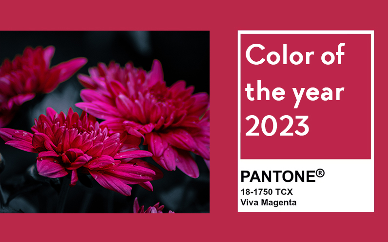 Pantone's 2023 color of the year is 'Viva Magenta' : NPR