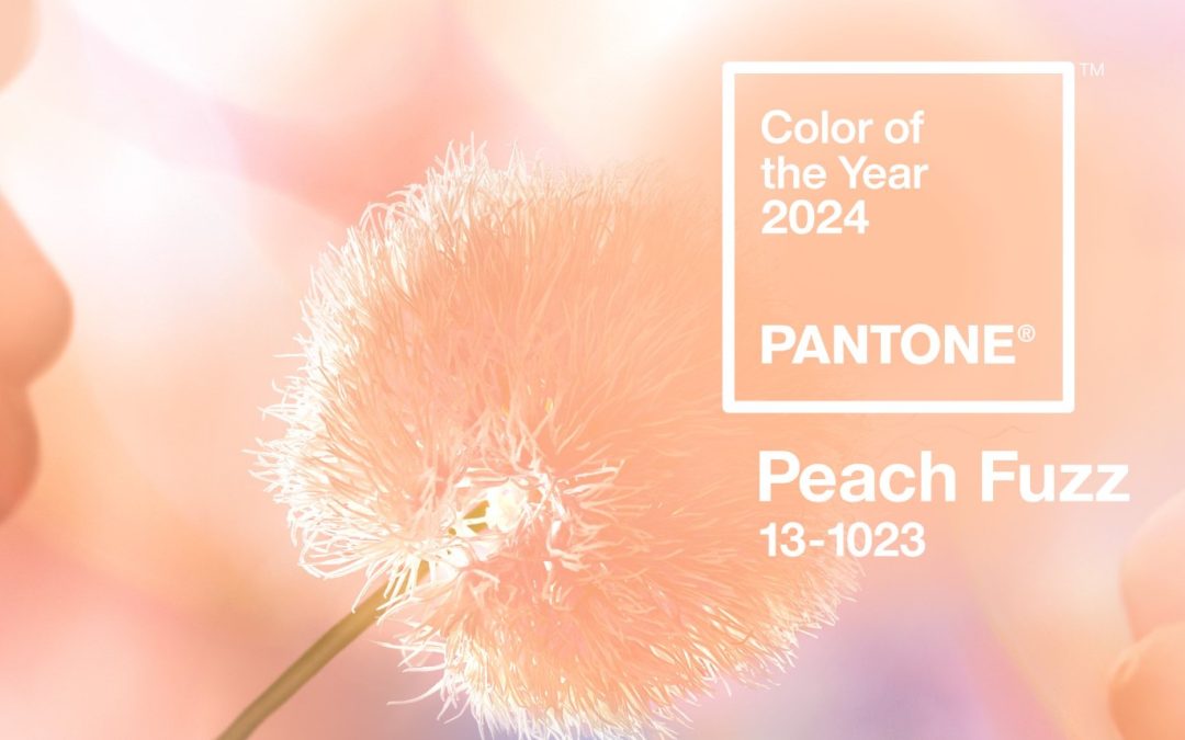 Pantone Color of the year 2024 Peach Fuzz Tarrago