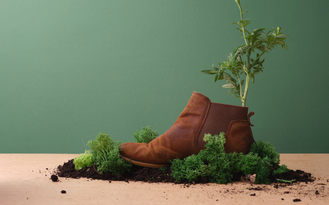 Our most natural products: Conscious leather and shoe care